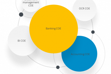 Network of strategic centres of excellence